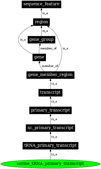 Graph image for SO:0000226