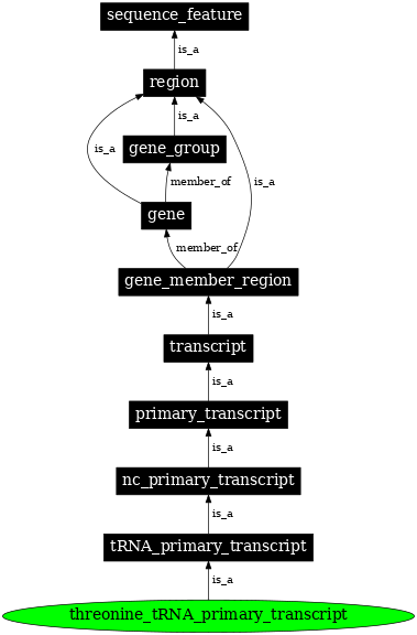 Graph image for SO:0000227