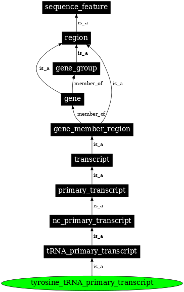 Graph image for SO:0000229