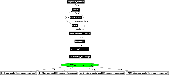 Graph image for SO:0000232