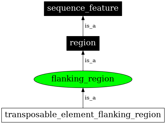 Graph image for SO:0000239