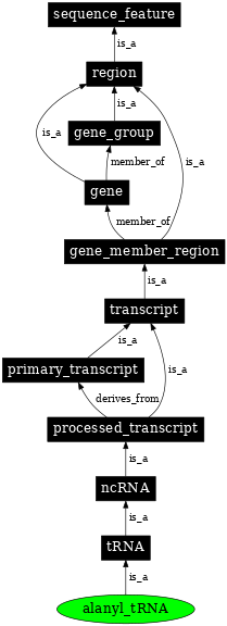 Graph image for SO:0000254