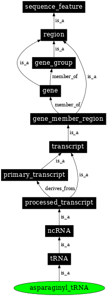 Graph image for SO:0000256