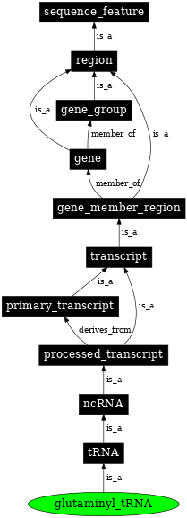 Graph image for SO:0000259
