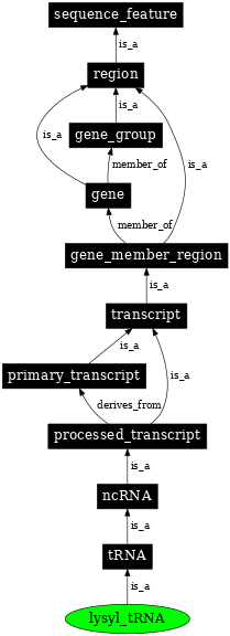 Graph image for SO:0000265
