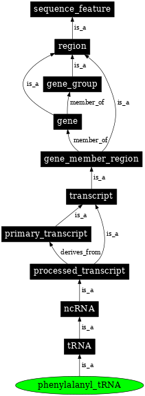 Graph image for SO:0000267