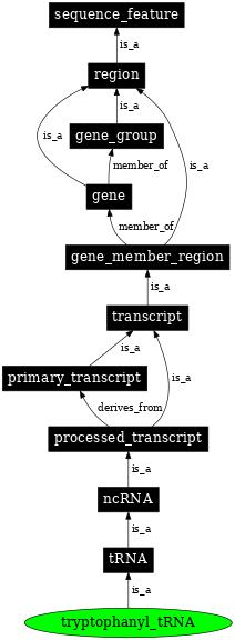 Graph image for SO:0000271