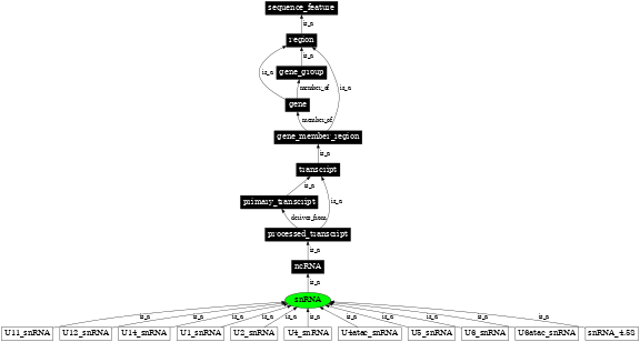 Graph image for SO:0000274