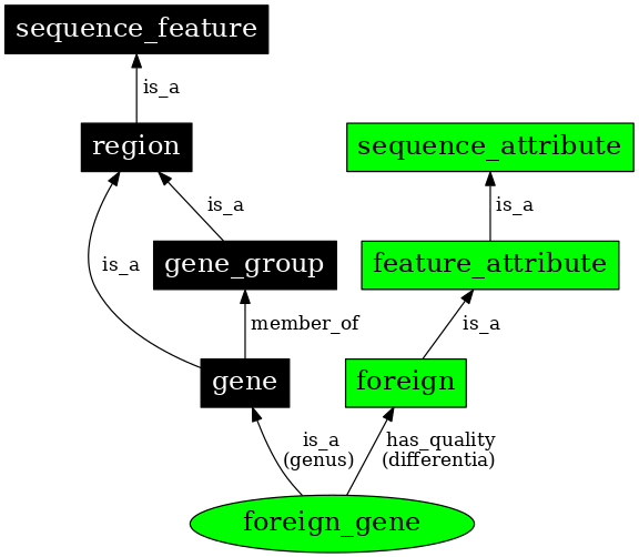 Graph image for SO:0000285