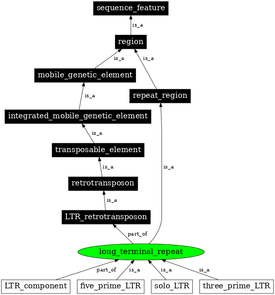 Graph image for SO:0000286