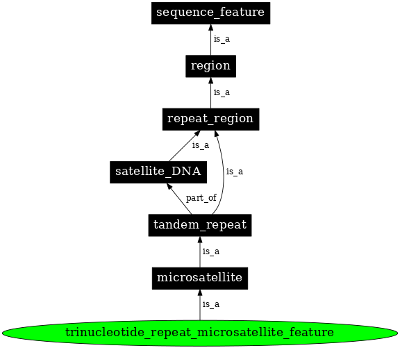 Graph image for SO:0000291
