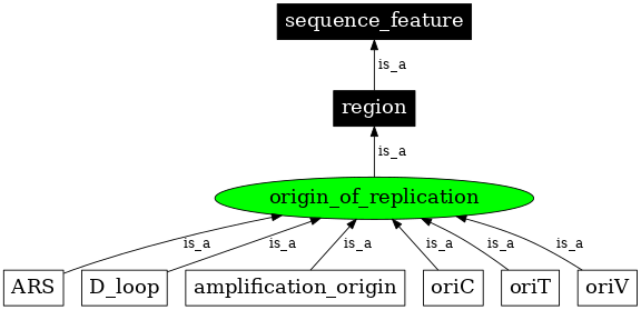Graph image for SO:0000296