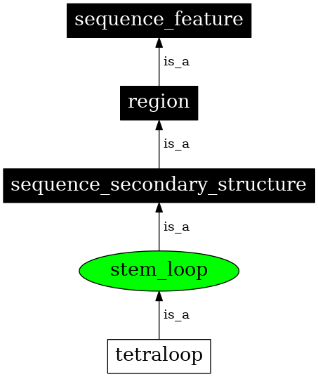 Graph image for SO:0000313