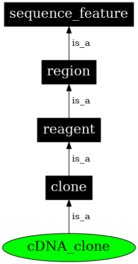 Graph image for SO:0000317