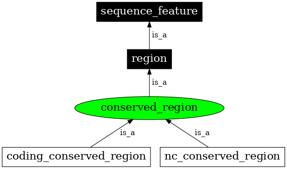 Graph image for SO:0000330