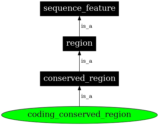 Graph image for SO:0000332