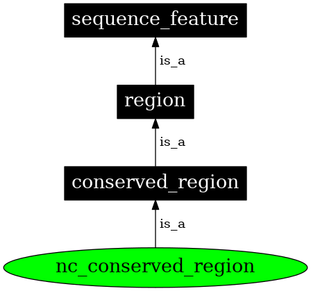 Graph image for SO:0000334