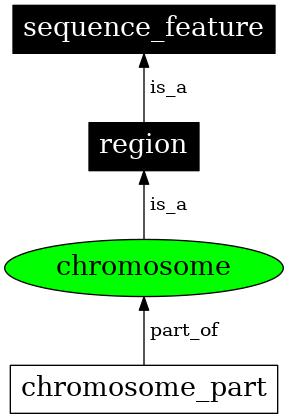 Graph image for SO:0000340