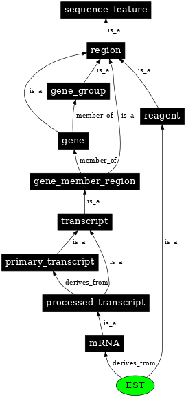 Graph image for SO:0000345