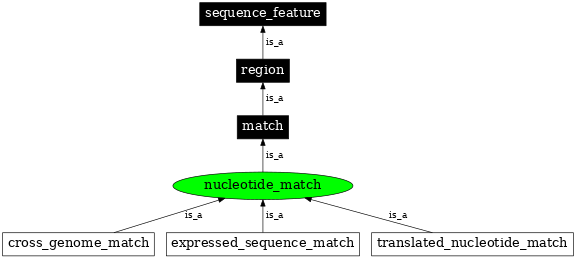 Graph image for SO:0000347