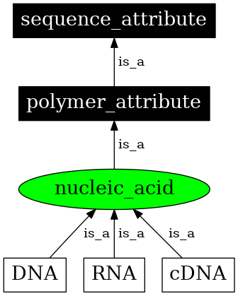 Graph image for SO:0000348