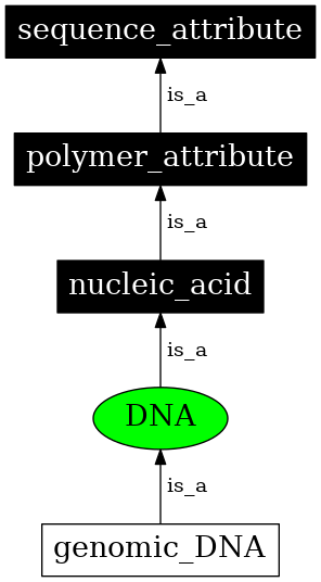 Graph image for SO:0000352