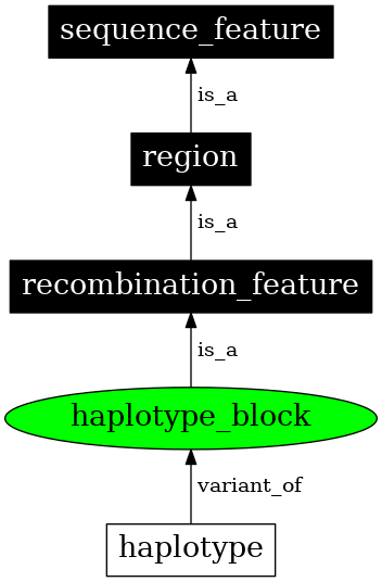 Graph image for SO:0000355