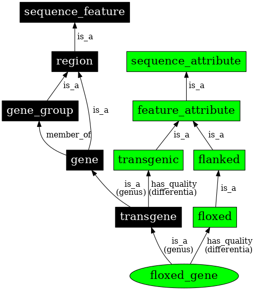 Graph image for SO:0000363