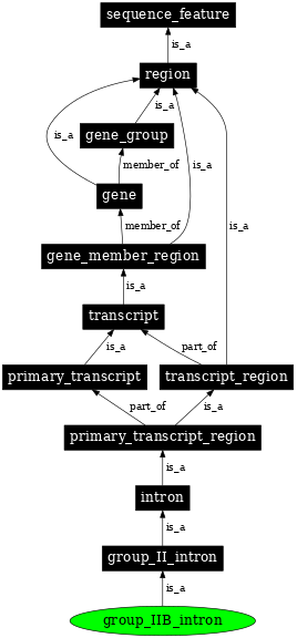 Graph image for SO:0000382
