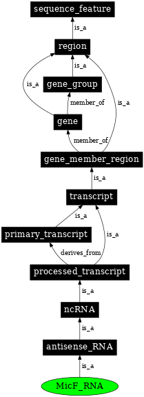 Graph image for SO:0000383