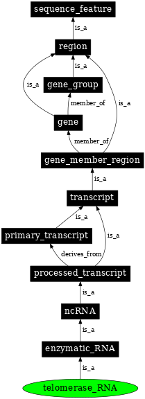 Graph image for SO:0000390