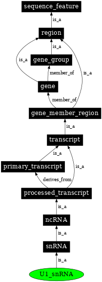 Graph image for SO:0000391