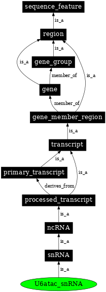 Graph image for SO:0000397