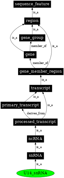Graph image for SO:0000403