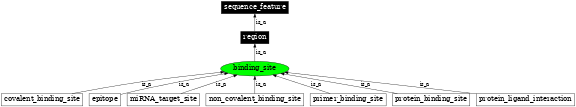 Graph image for SO:0000409