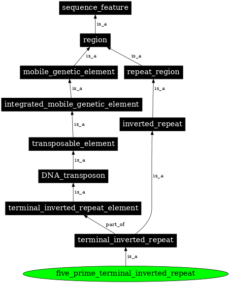 Graph image for SO:0000420