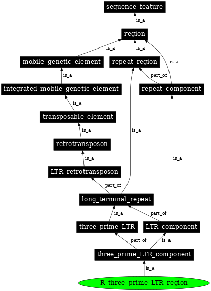 Graph image for SO:0000430