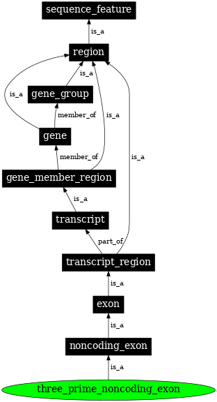 Graph image for SO:0000444