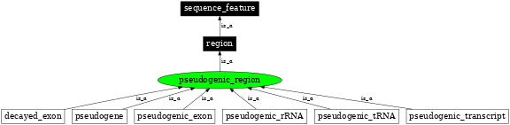Graph image for SO:0000462