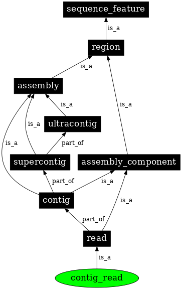 Graph image for SO:0000476