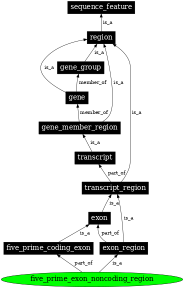 Graph image for SO:0000486