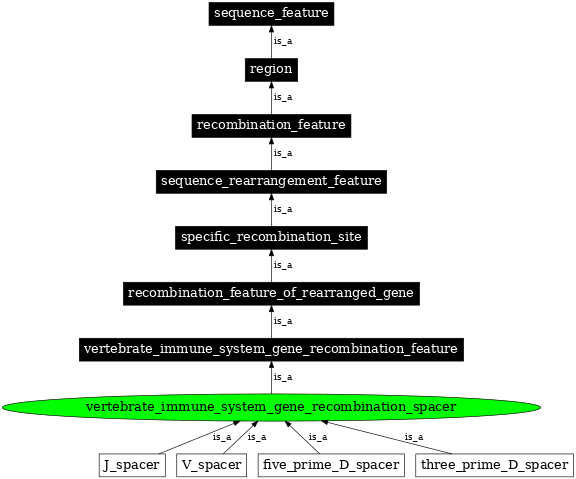 Graph image for SO:0000563