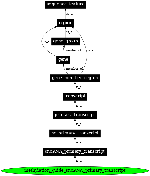 Graph image for SO:0000580