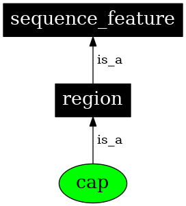 Graph image for SO:0000581