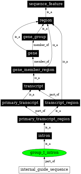 Graph image for SO:0000587