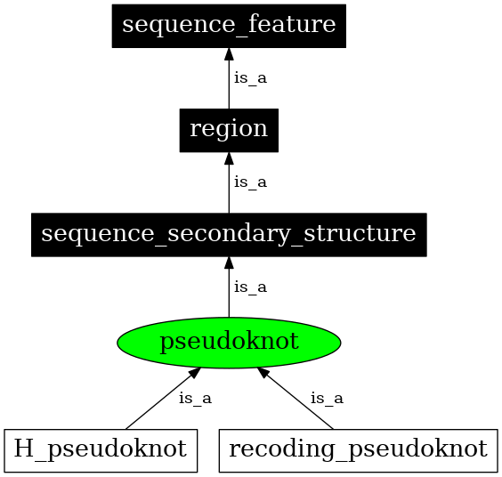 Graph image for SO:0000591