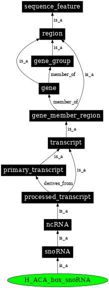Graph image for SO:0000594