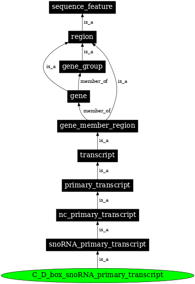 Graph image for SO:0000595
