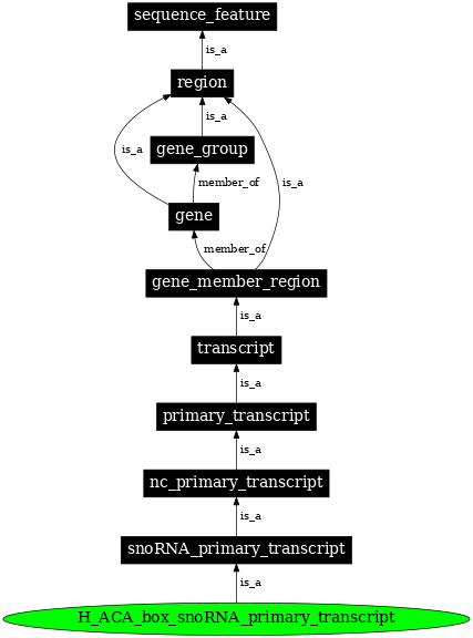 Graph image for SO:0000596