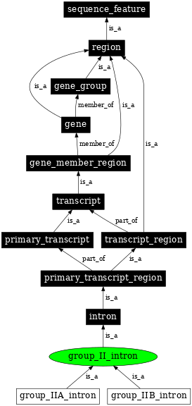 Graph image for SO:0000603